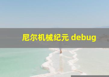 尼尔机械纪元 debug